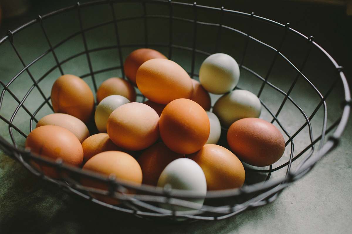 citrus fruit brown and white eggs on gray basket flora